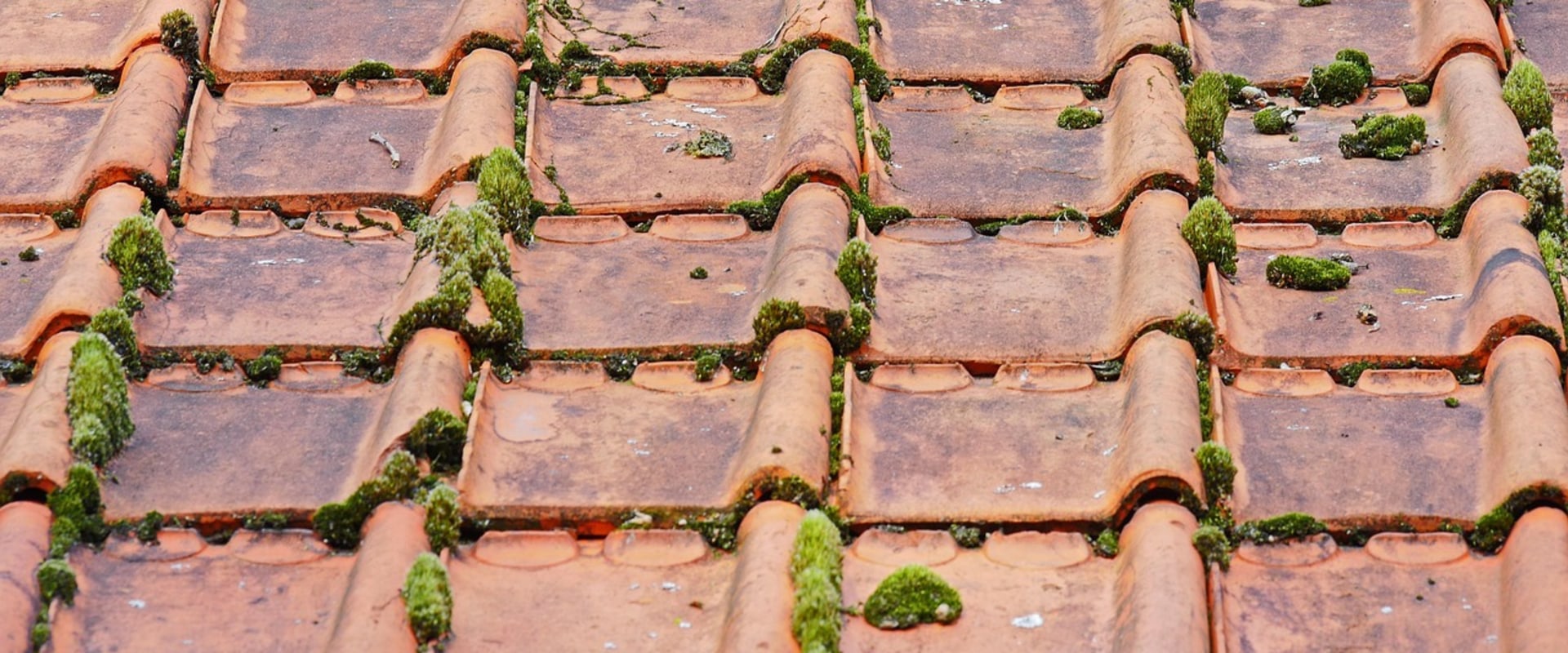Ensure Your Home's Integrity with Expert Roofing and Paver Installation