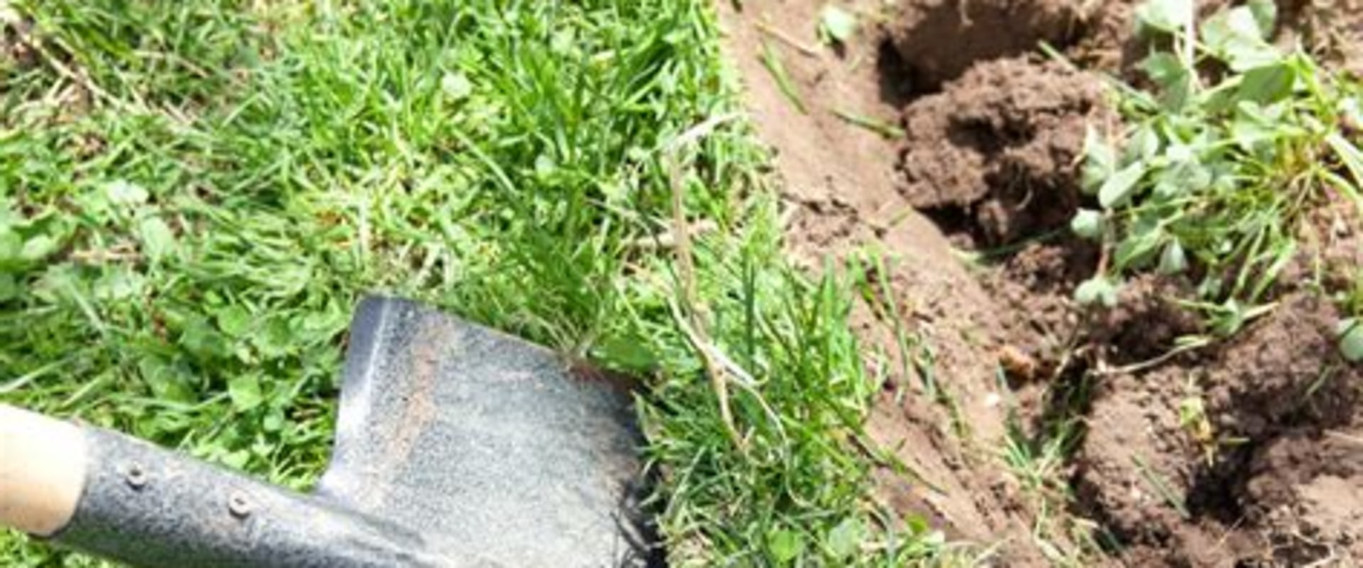 Mastering Paver Installation Around Structures: A Step-by-Step Approach