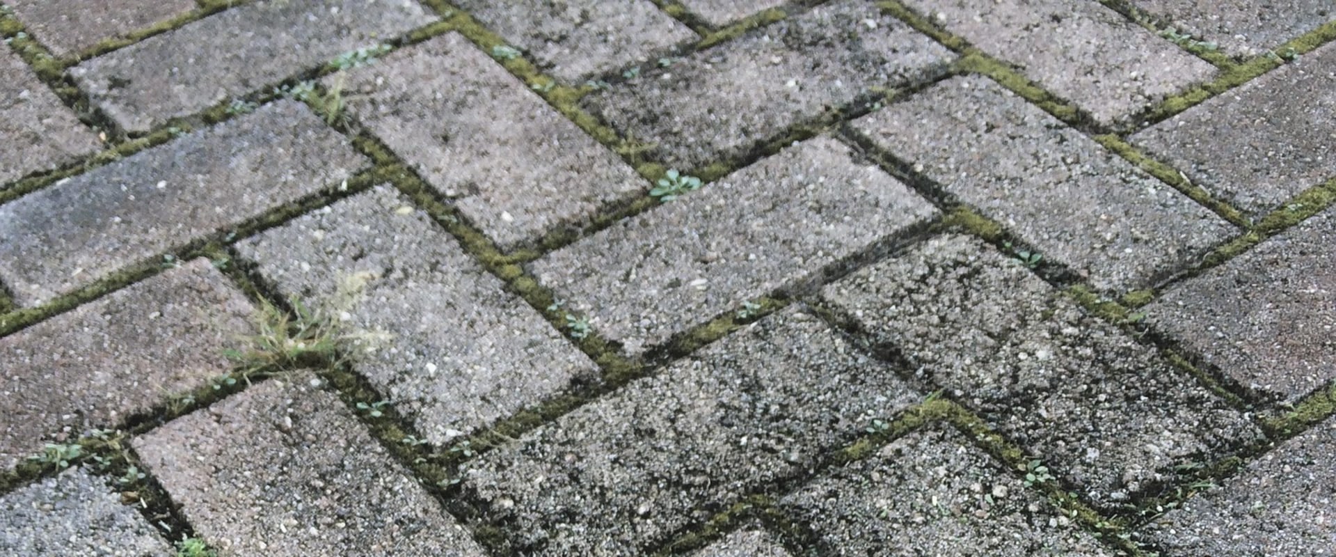Paving Contractors in Orem, UT: Why Quality Paver Installation Matters