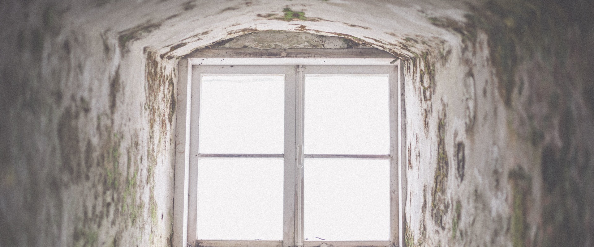 Protect Your Investment: Mold Remediation Before Paver Installation