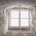 Protect Your Investment: Mold Remediation Before Paver Installation