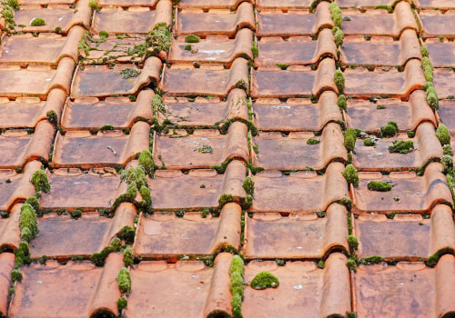 Ensure Your Home's Integrity with Expert Roofing and Paver Installation