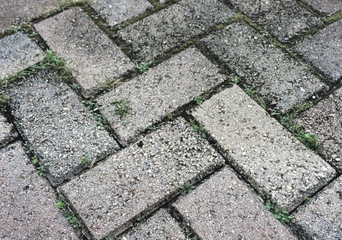 Paving Contractors in Orem, UT: Why Quality Paver Installation Matters