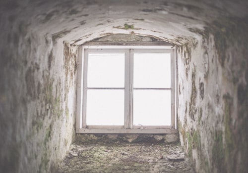 Protect Your Investment: Mold Remediation Before Paver Installation