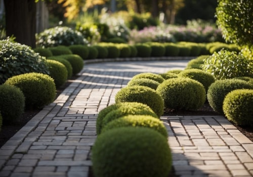 Understanding the Ideal Distance Between Pavers and Nearby Trees or Plants